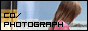 �f�ރT�C�g�@CoCo*